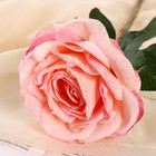 Цветы искусственные "Роза эстетик" 10х49 см, розовый - фото 6730229