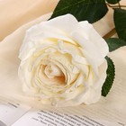 Цветы искусственные "Роза эстетик" 10х49 см, белый - фото 7437845