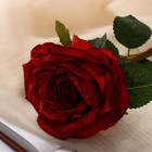 Цветы искусственные "Роза эстетик" 10х49 см, красный - Фото 2