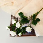 Цветы искусственные "Роза очарование" 6х77 см, белый - фото 10059217