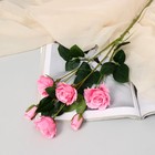 Цветы искусственные "Роза очарование" 6х77 см, розовый - фото 319117920