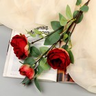 Цветы искусственные "Роза пионовидная галант" 7х61 см, красный - фото 10059225