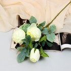Цветы искусственные "Роза грация" 7х57 см, молочный - фото 319898784