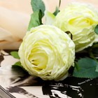 Цветы искусственные "Роза грация" 7х57 см, молочный - фото 6730243