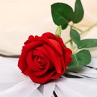 Цветы искусственные "Роза обаяние" 6х46 см, красный - Фото 2