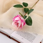 Цветы искусственные "Роза обаяние" 6х46 см, бело-розовый - Фото 1