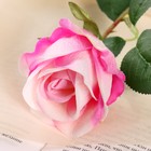 Цветы искусственные "Роза обаяние" 6х46 см, бело-розовый - Фото 2