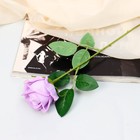 Цветы искусственные "Роза обаяние" 6х46 см, сиреневый - фото 10843880