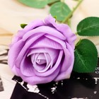 Цветы искусственные "Роза обаяние" 6х46 см, сиреневый - Фото 2