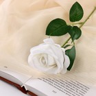 Цветы искусственные "Роза обаяние" 6х46 см, белый - фото 319117934