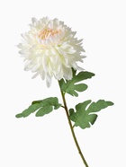 Цветы искусственные "Хризантема садовая галант" 14х57 см, белый - фото 809154651