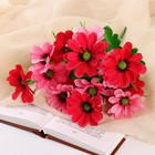 Букет искусственный «Клематис гибридный», d=7 см, h=33 см, 14 цветков, МИКС - Фото 1