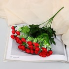 Букет "Роза Клер галант" 24 см, микс - Фото 1