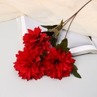 Цветы искусственные "Георгин садовый" 9х60 см, красный - фото 10803005