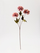Цветы искусственные "Георгин садовый" 9х60 см, пепельно-розовый - фото 809154653