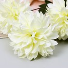 Цветы искусственные "Георгин садовый" 9х60 см, белый - Фото 2