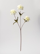 Цветы искусственные «Георгин садовый», 9×60 см, белые - фото 53147537
