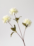 Цветы искусственные «Георгин садовый», 9×60 см, белые - фото 53147538