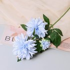 Цветы искусственные "Георгин садовый галант" 11х61 см, голубой - фото 319971511