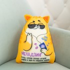 Игрушка антистресс Котэ "Меладзинг" - фото 25272869