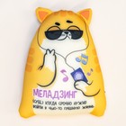 Игрушка антистресс Котэ "Меладзинг" - фото 25272870
