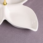 Менажница "Лилия", белая, керамика, 32х32х5 см, 1 сорт, 1 сорт, Иран - Фото 3