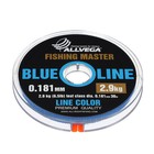 Леска монофильная ALLVEGA Fishing Master, диаметр 0.181 мм, тест 2.9 кг, 30 м, голубая - фото 319119007