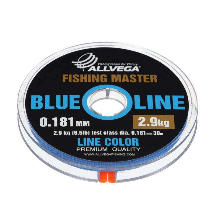 

Леска монофильная ALLVEGA Fishing Master, диаметр 0.181 мм, тест 2.9 кг, 30 м, голубая