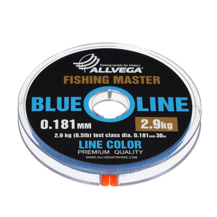 Леска монофильная ALLVEGA Fishing Master, диаметр 0.181 мм, тест 2.9 кг, 30 м, голубая - Фото 1