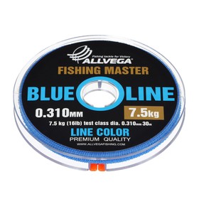 Леска монофильная ALLVEGA Fishing Master, диаметр 0.310 мм, тест 7.5 кг, 30 м, голубая 9335949