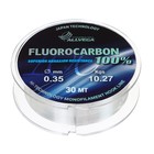 Леска монофильная ALLVEGA FX Fluorocarbon 100%, диаметр 0.35 мм, тест 10.27 кг, 30 м, прозрачная - фото 1168417