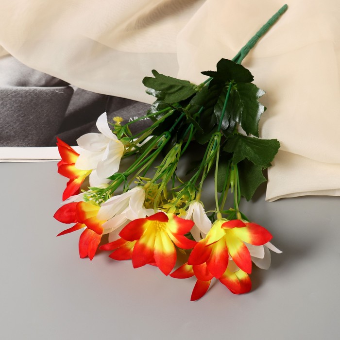 

Букет "Светолистник" 4х27 см, микс