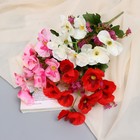 Букет искусственный «Нимезия галант», 5×27 см, МИКС - Фото 3