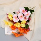 Букет «Нимезия галант», 5×27 см, МИКС 9222776