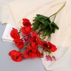 Букет искусственный «Нимезия галант», 5×27 см, МИКС - Фото 1