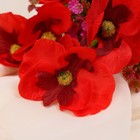 Букет «Нимезия галант», 5×27 см, МИКС 9222776