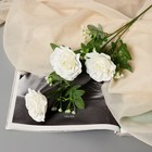 Цветы искусственные "Роза галант" 8х62 см, белый - фото 287695235