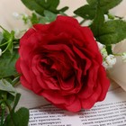 Цветы искусственные "Роза галант" 8х62 см, красный - фото 7795786