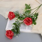 Цветы искусственные "Роза Амория" 7х62 см, персиково-красный - фото 10060675