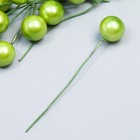 Тычинки для цветов "Шарик жемчужно-зелёный" d=1,2 см 6х1,2х1,2 см - фото 110598180
