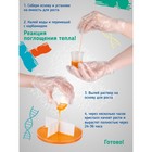 Набор для выращивания кристаллов «Игольчатые кристаллы 3 в 1» - фото 24533647