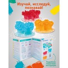 Набор для выращивания кристаллов «Игольчатые кристаллы 3 в 1» - фото 24533648