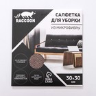 Салфетка микрофибра Raccoon «Орион», 30×30 см, картонный конверт - фото 6731594