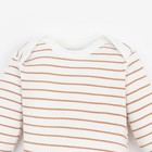 Боди с длинным рукавом Крошка Я, BASIC LINE, рост 80-86 см, полоска бежевая - Фото 2