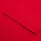 Футболка President Спорт.Хоккей, S, красный, 100% хлопок, кул.гладь 150 г/м2 9186229