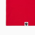 Футболка President Спорт.Хоккей, S, красный, 100% хлопок, кул.гладь 150 г/м2 9186229