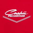 Футболка President Спорт российский, М, красный, 100% хлопок, кул.гладь 150 г/м2 - Фото 3