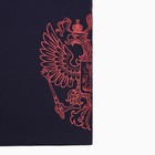 Футболка President Russian Sport, XL, синий, 100% хлопок, кул.гладь 150 г/м2 - Фото 7