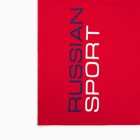 Лонгслив President Russian Sport, М, красный, 100% хлопок, кул.гладь 150 г/м2 - Фото 4