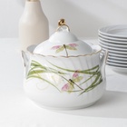 УЦЕНКА Сервиз столовый «Стрекоза», 35 предметов, 2 вида тарелок (отсутствует селёдочница) - Фото 2